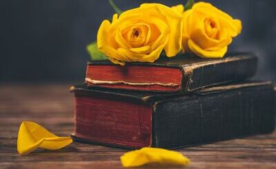 The Punch 50 Poets Under 50: A national search for the voices shaping contemporary Indian poetry